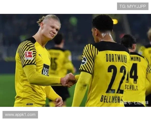 哈兰德高产数据的效率与比赛影响力解析