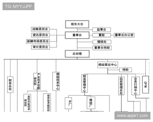 七人制规则要点：场地尺寸、换人与裁判判罚差异